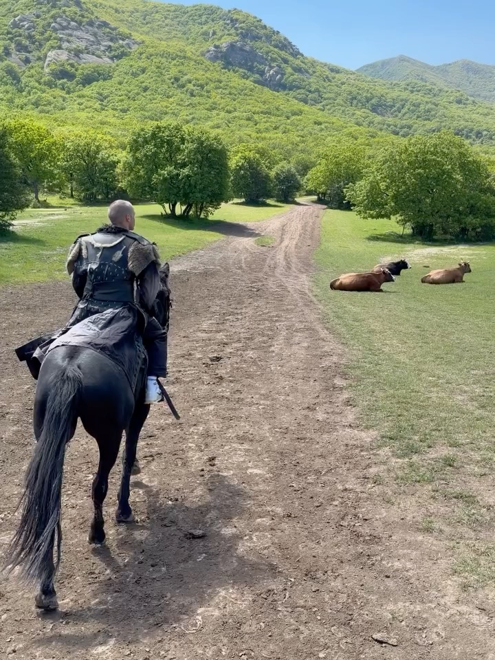 Horse rides in the highlands