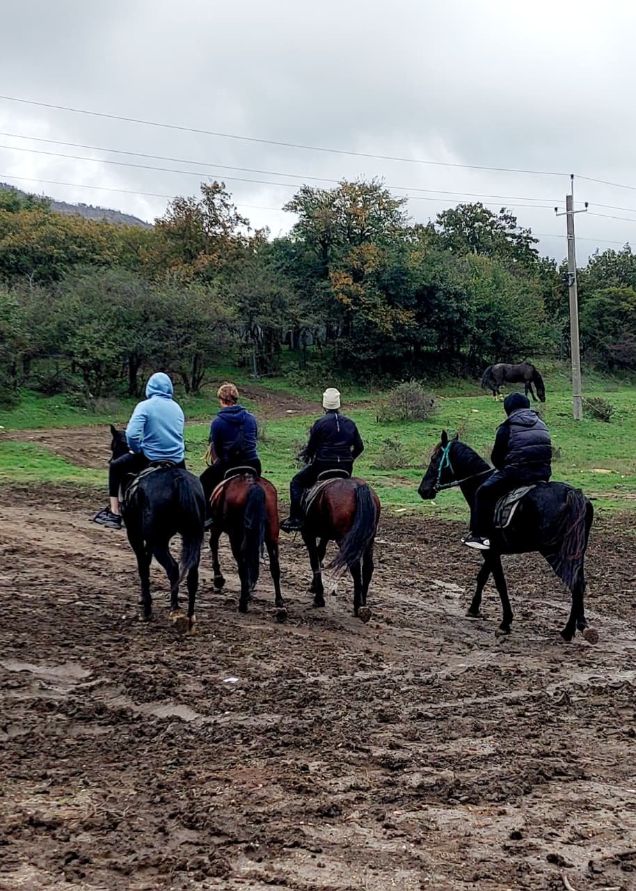 Horse riding with the group · optional activity